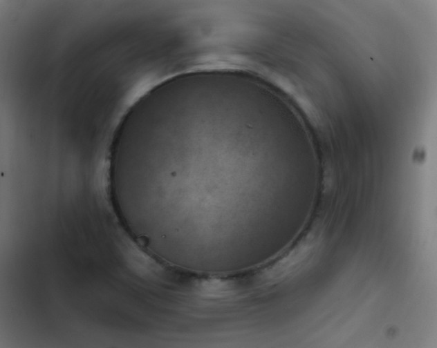 X0000103401459200809121231