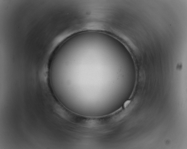 X0000103401461200809121231
