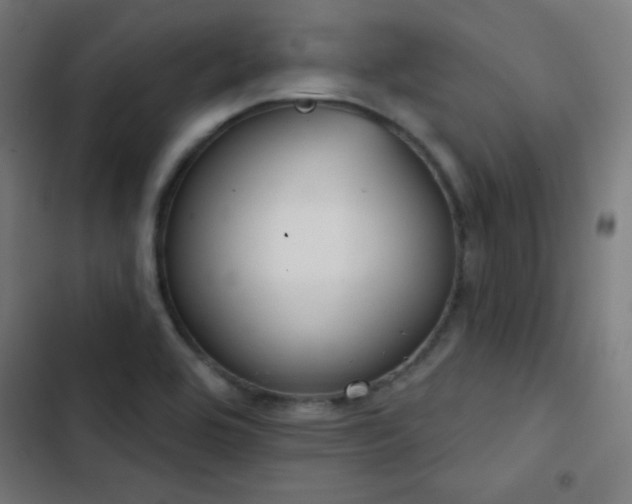 X0000103401464200809121231