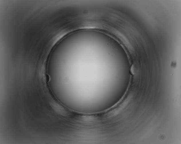 X0000103401465200809121231