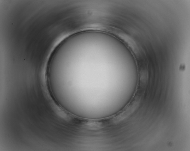 X0000103401466200809121231