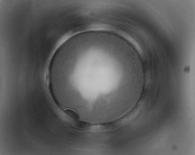 X0000103401467200809121231