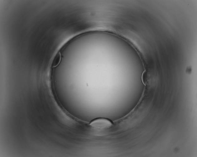 X0000103401468200809121231
