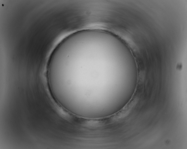 X0000103401470200809121231