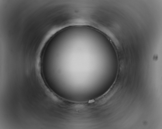 X0000103401472200809121231