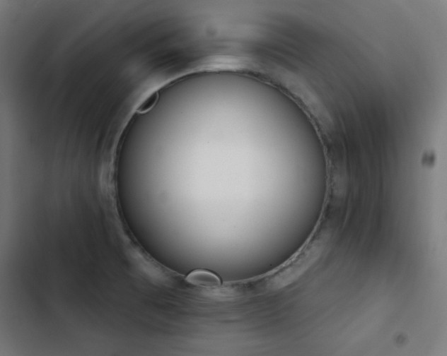 X0000103401473200809121231