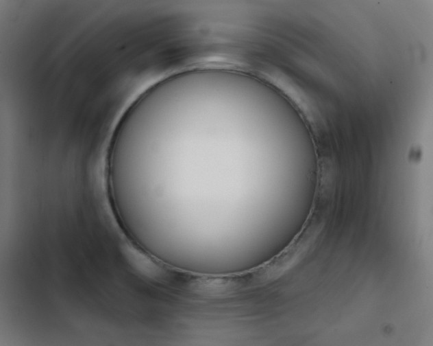 X0000103401474200809121231