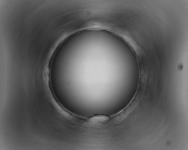X0000103401476200809121231
