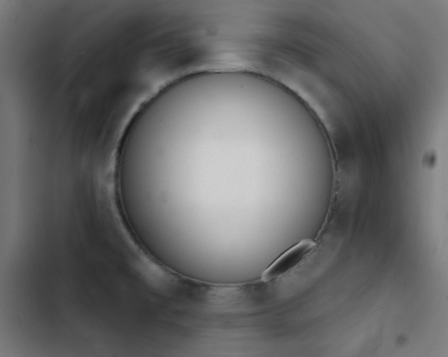 X0000103401477200809121231