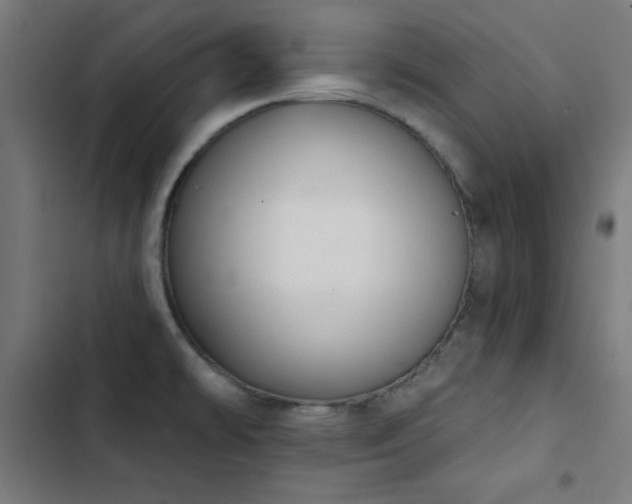 X0000103401478200809121231