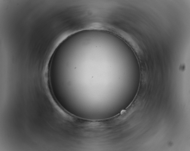 X0000103401479200809121231