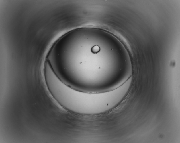 X0000103401480200809121231