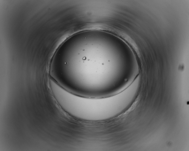X0000103401481200809121231