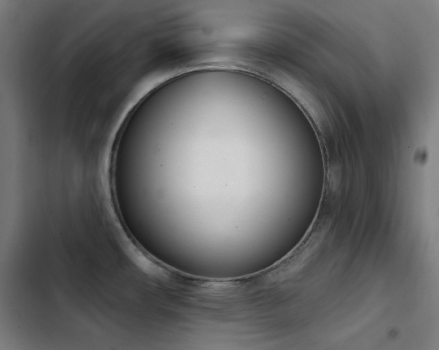 X0000103401482200809121231