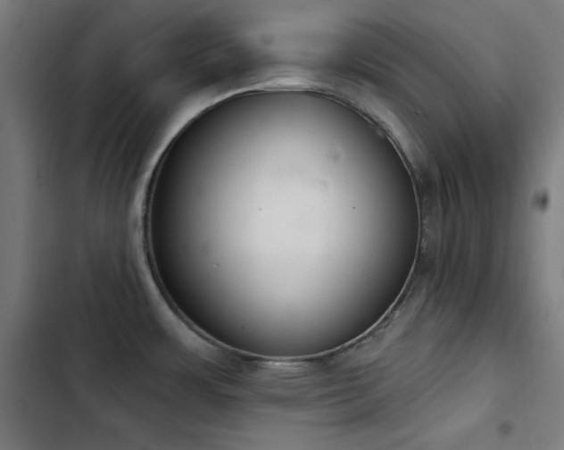X0000103401483200809121231