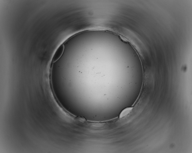 X0000103401484200809121231