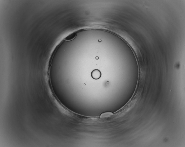 X0000103401485200809121231