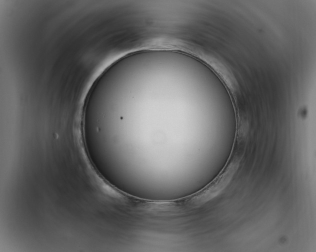 X0000103401486200809121231