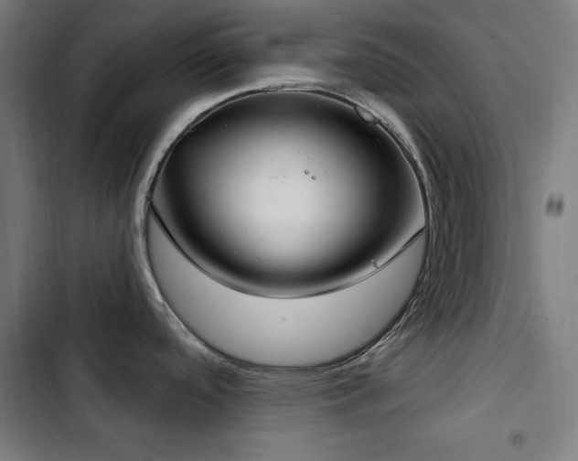 X0000103401488200809121231