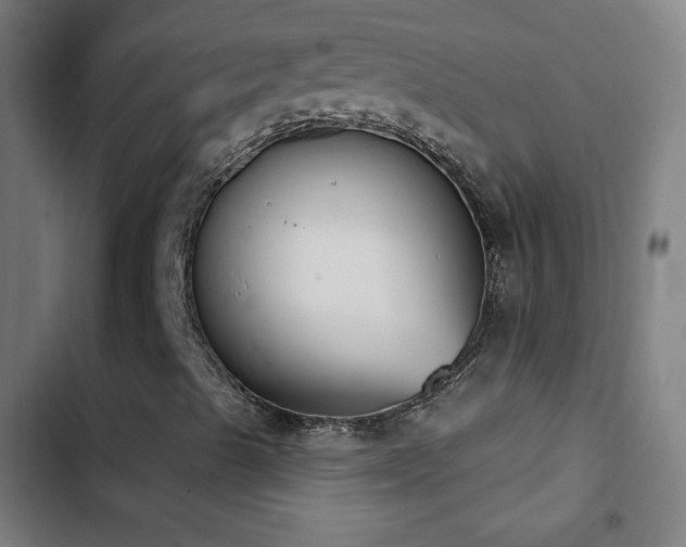 X0000103401489200809121229