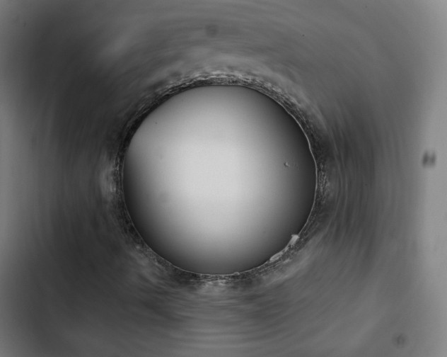 X0000103401490200809121229