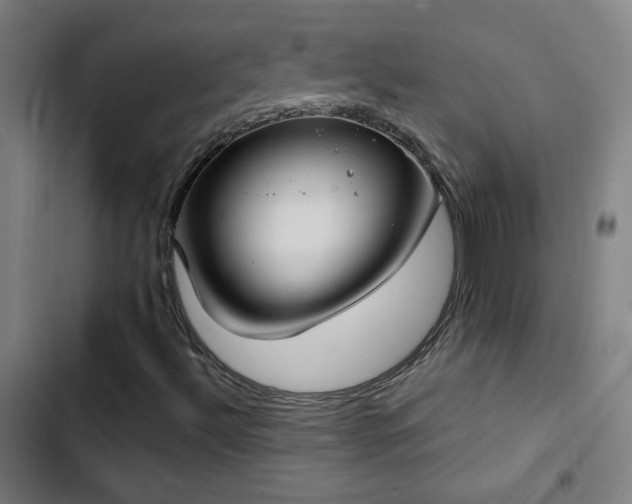 X0000103401492200809121229