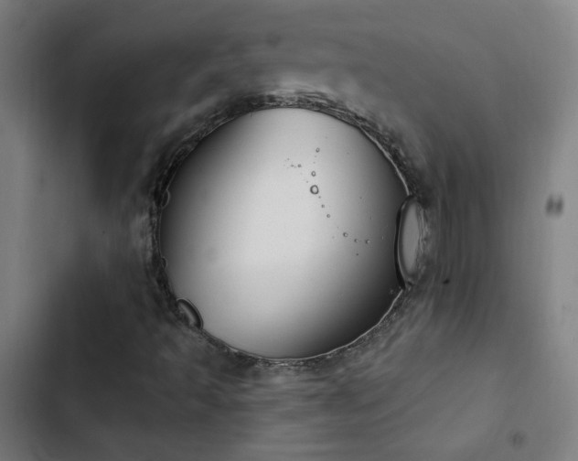 X0000103401493200809121229