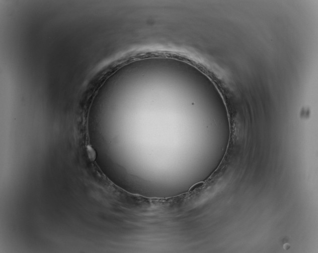 X0000103401494200809121229