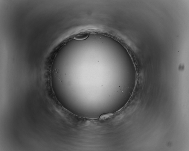 X0000103401496200809121229