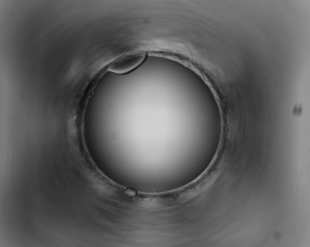 X0000103401497200809121230