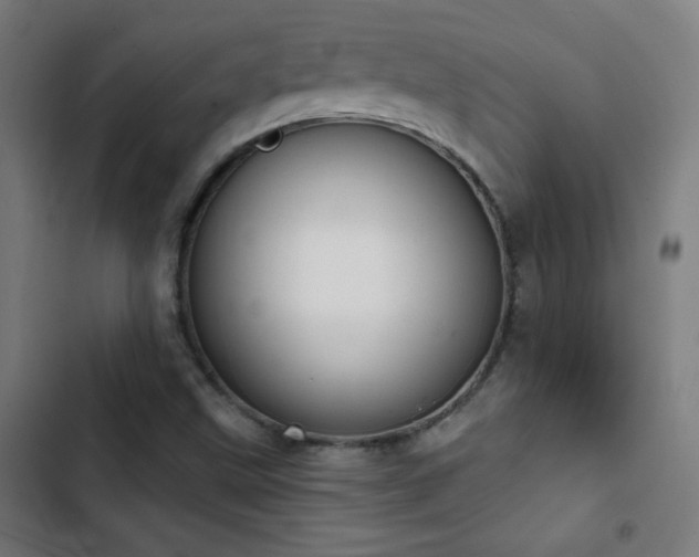 X0000103401499200809121230