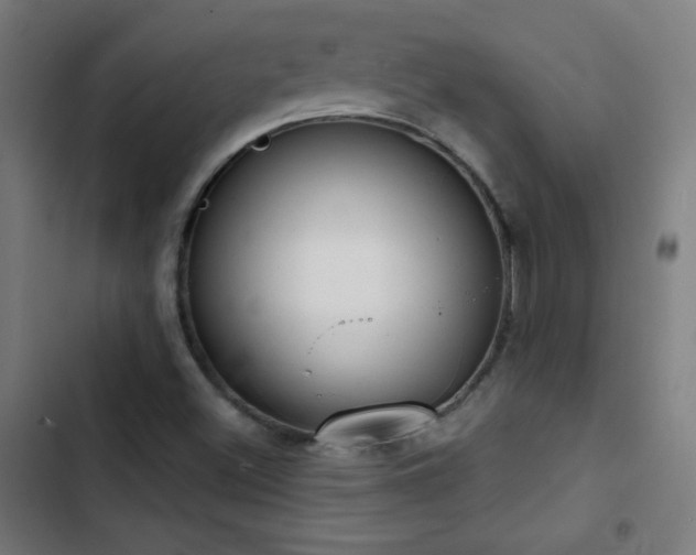 X0000103401500200809121230