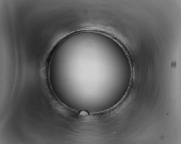 X0000103401501200809121230