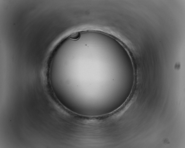 X0000103401502200809121230