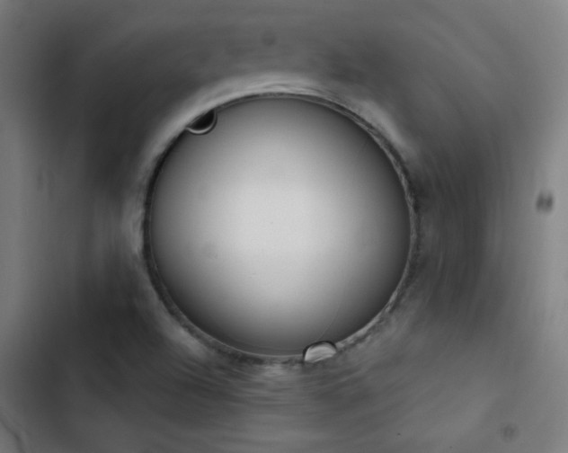 X0000103401504200809121230