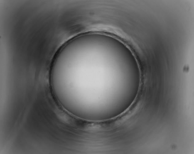 X0000103401505200809121230