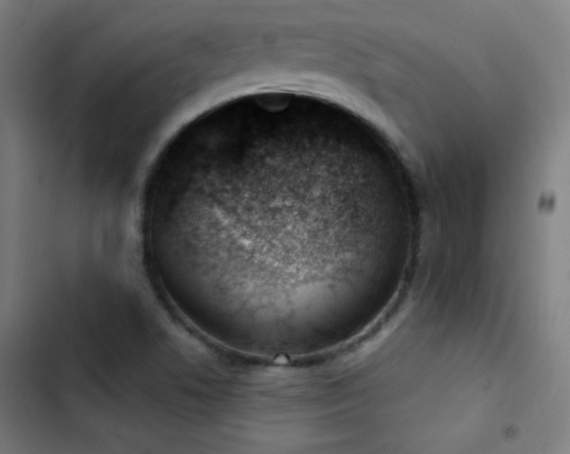 X0000103401506200809121230