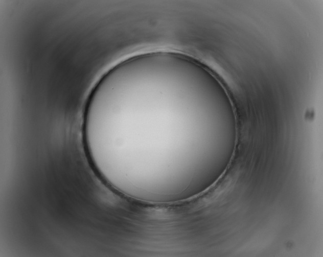 X0000103401508200809121230