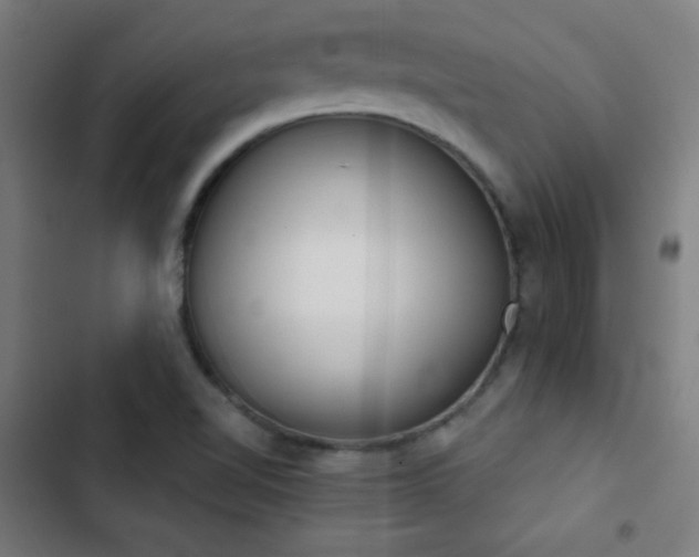X0000103401510200809121230