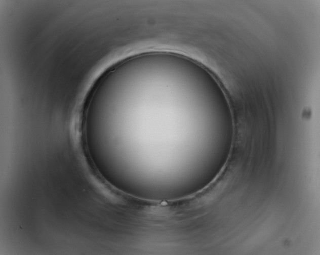 X0000103401511200809121230