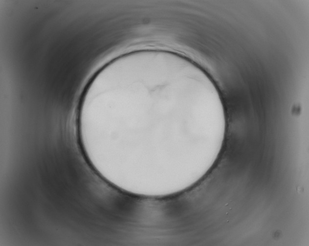 X0000103401514200809121230