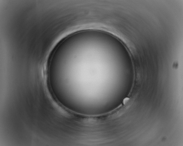 X0000103401515200809121230