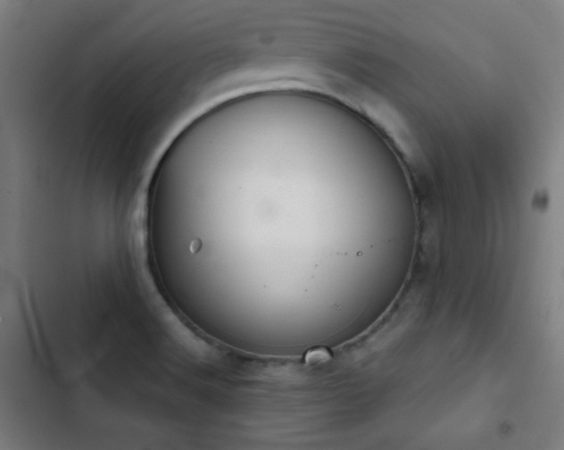 X0000103401516200809121230