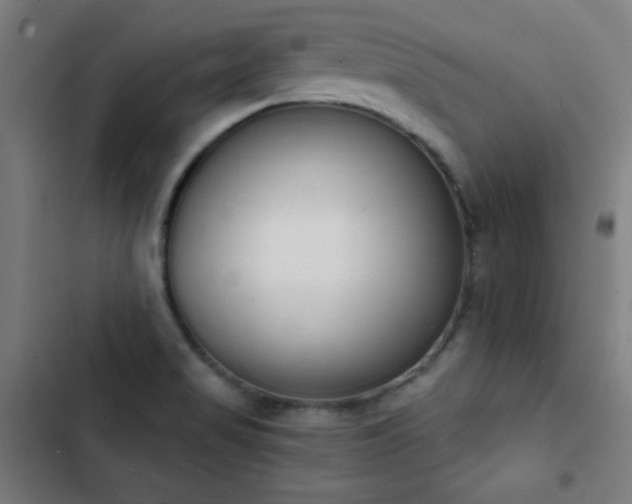 X0000103401517200809121230