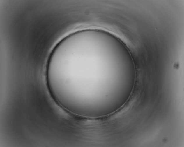 X0000103401518200809121230