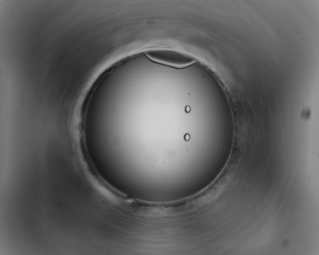 X0000103401519200809121230