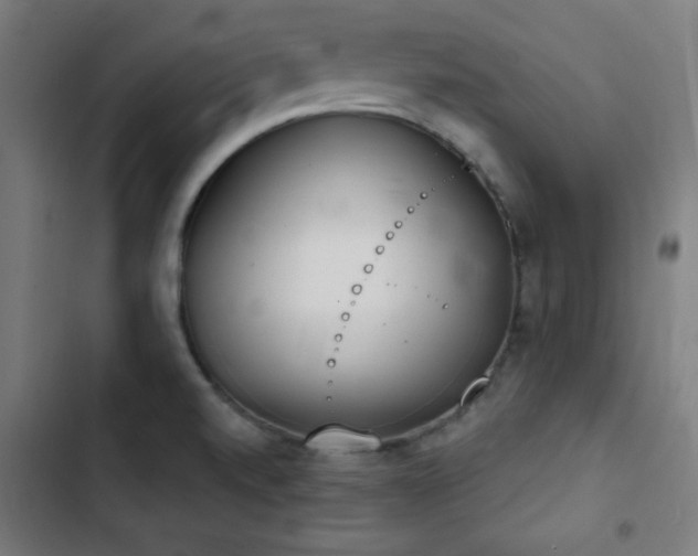 X0000103401520200809121230