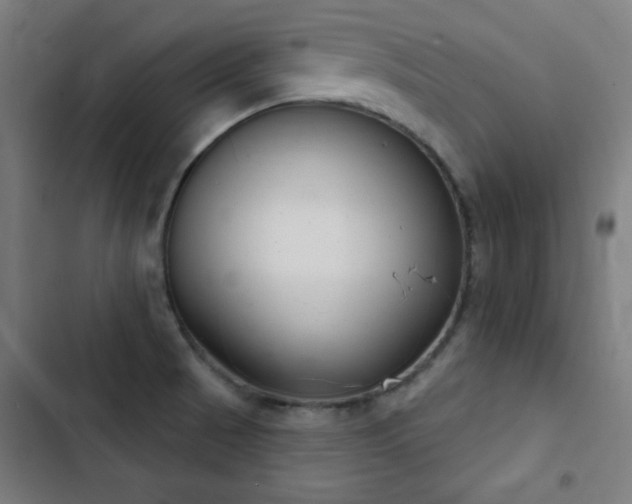 X0000103401521200809121230