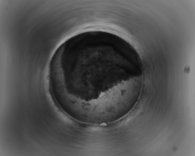X0000103401522200809121230