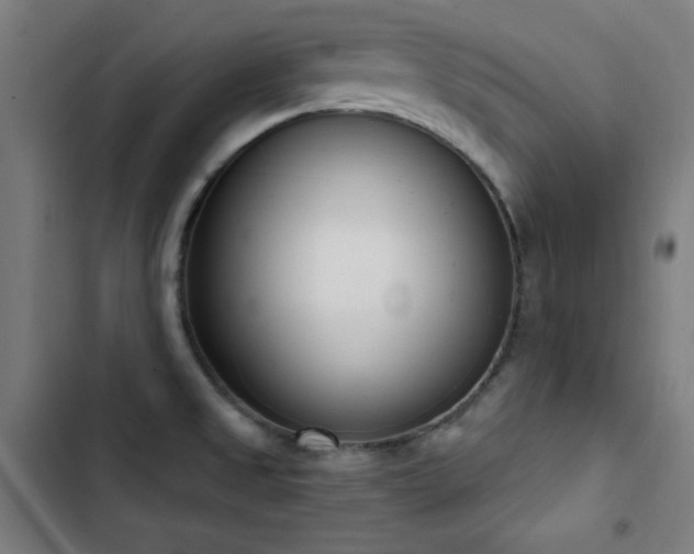 X0000103401525200809121230